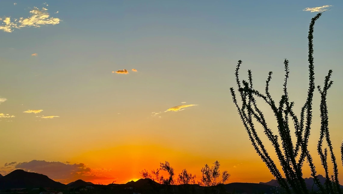 Desert sunset